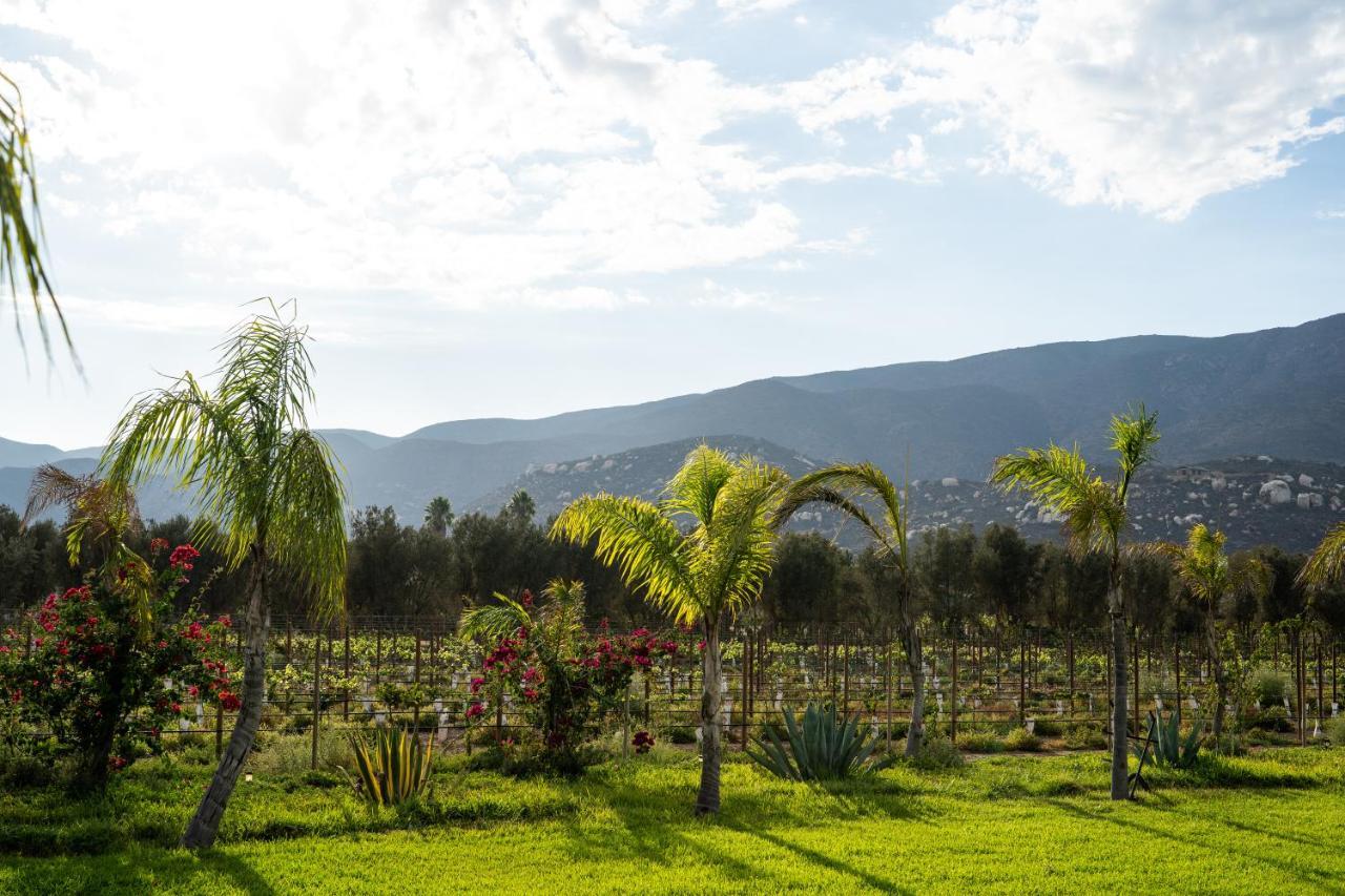Suenos Resort El Porvenir 外观 照片